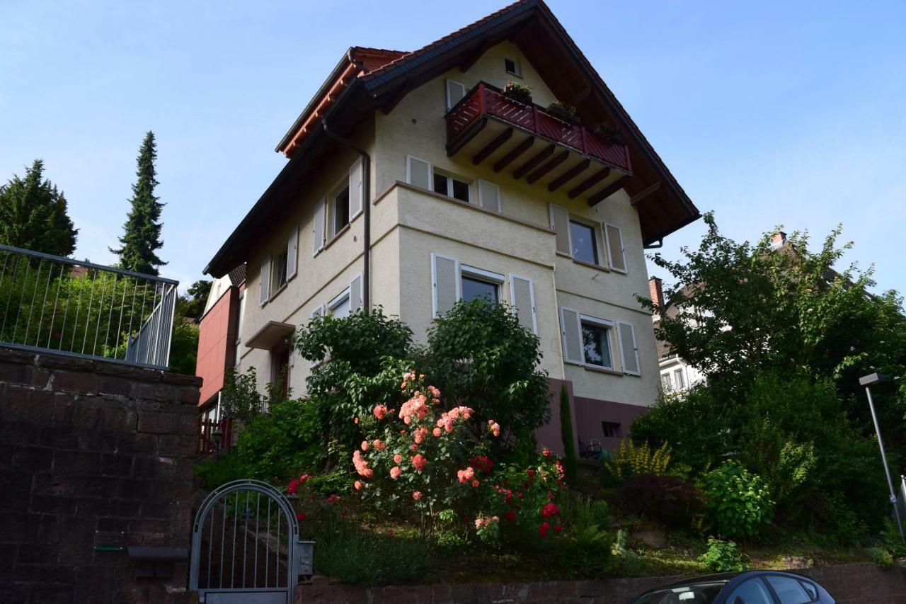 Nichtraucherferienwohnung-Neckarblick Ze-2022-74-Wz-118A Heidelberg Exterior foto